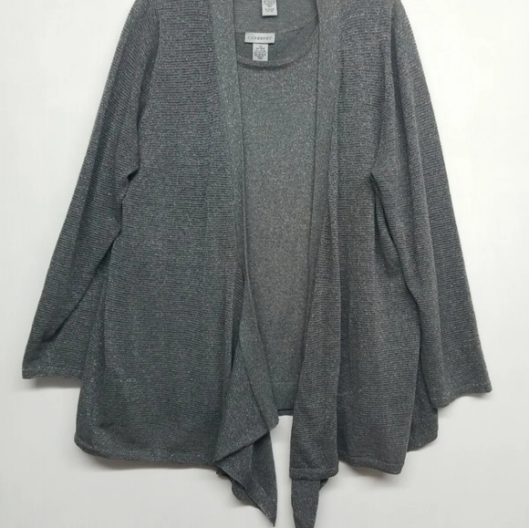 Catherine's  Gray Metallic Sweater & Tank Size OX 14/16W - Picture 1 of 15